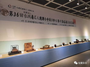以石為媒，跨越山海 青島民間賞石藝術開啟跨國交流新篇章